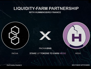 PayChain liquidity-farm partnership Hummingbird